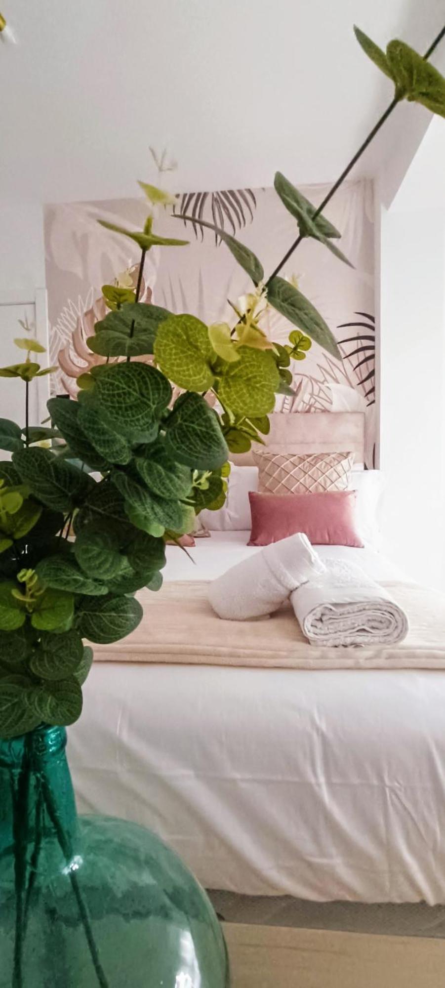 Apartamento Centro Ancha De Gracia Grenade Extérieur photo